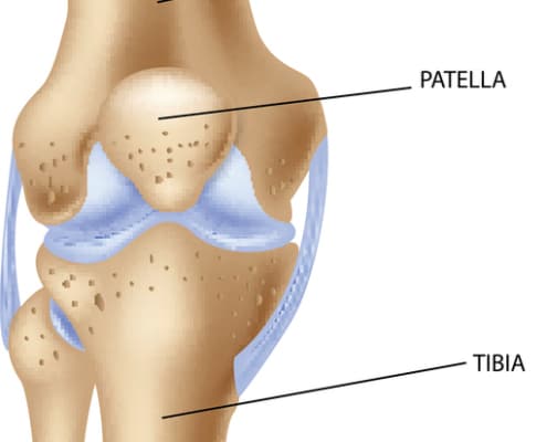 patella