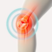 Knee painful - skeleton x-ray.