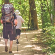 Total Joint Reconstruction