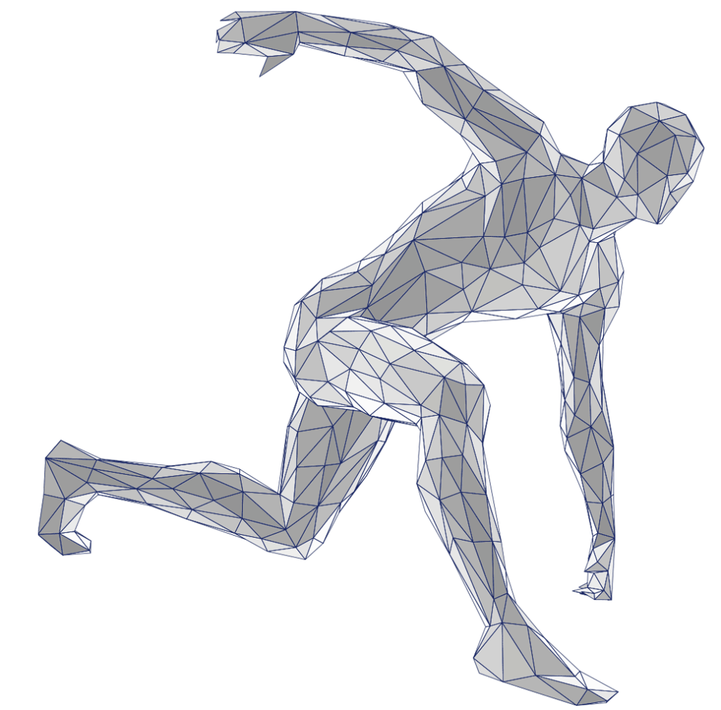 Body Wireframe