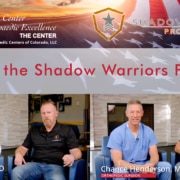 Shadow Warriors Project