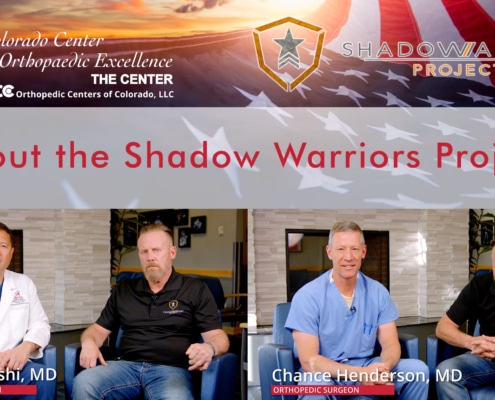 Shadow Warriors Project