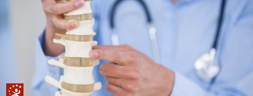 Bone Grafts in Spine - CCOE - Colorado Center of Orthopaedic Excellence Bone Grafts in Spine Surgery